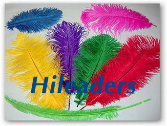 Decorative dyed ostrich feather