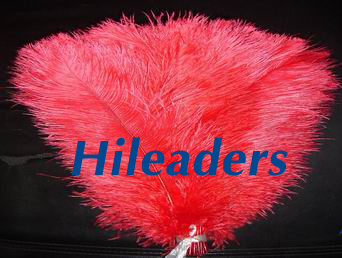 Red ostrich feather