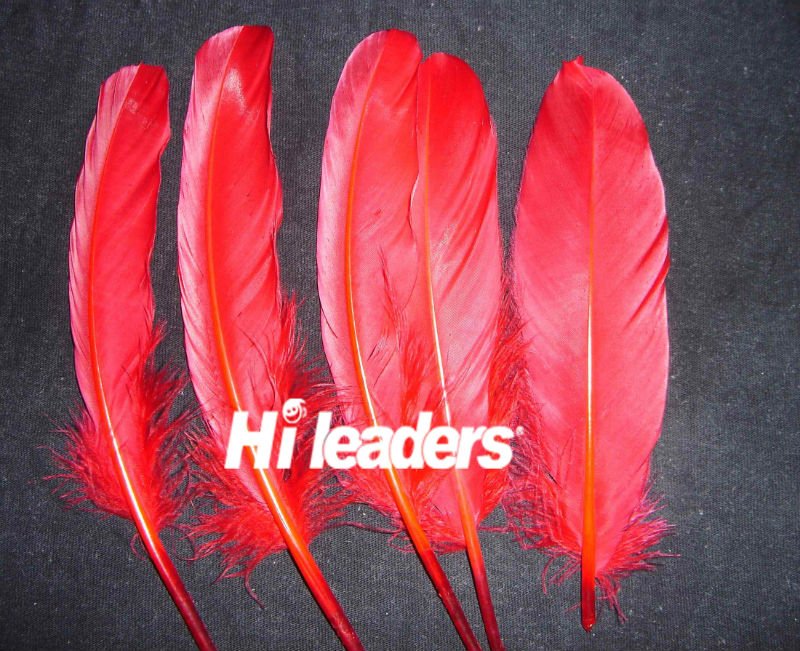 Decorative dyed Turkey feather