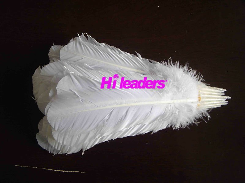 Strung Turkey feather