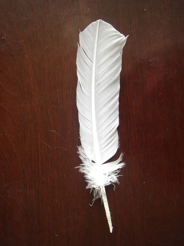 Decorative Bleached Turkey feather