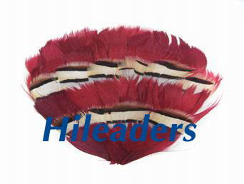 Decorative feather pad