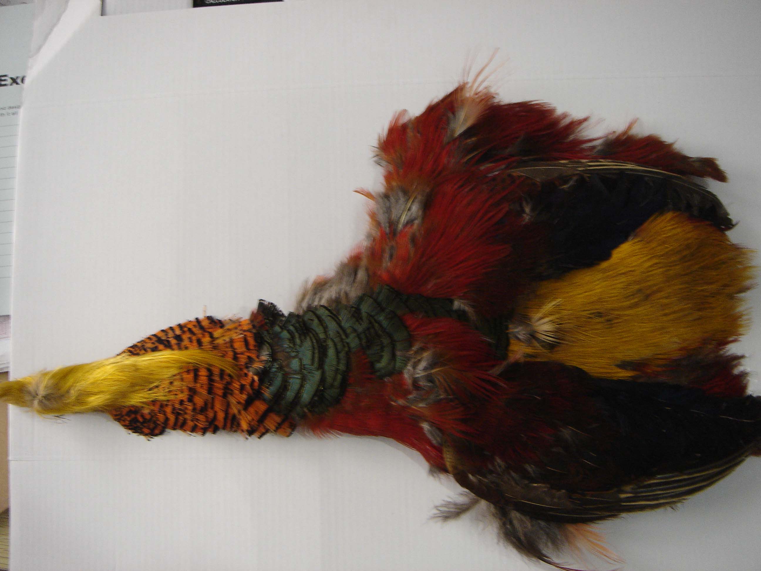 Decorative natural Golden Pheasant feather head+Skin