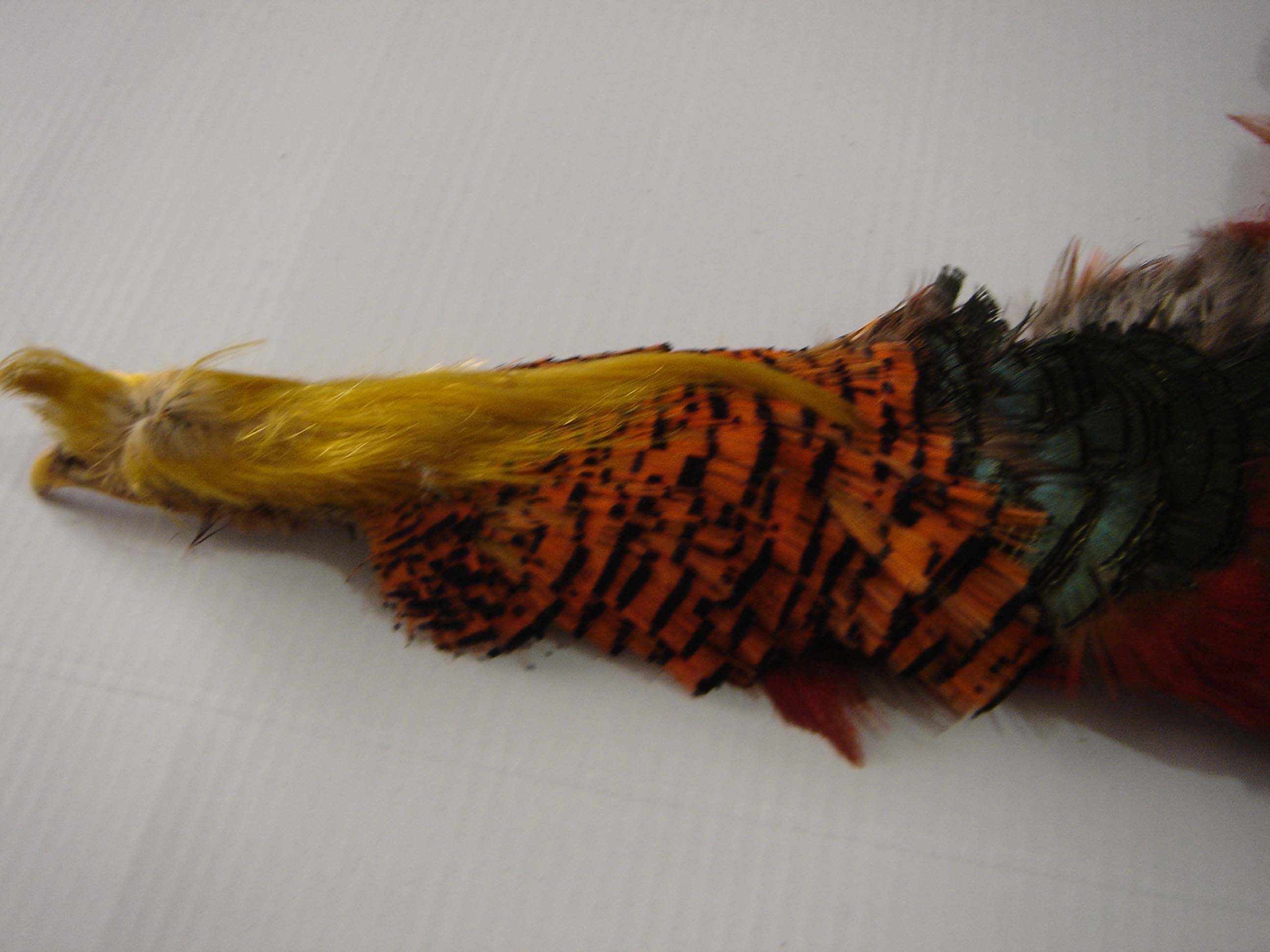 Ringneck pheasant feather/golden pheasant tail/reeves pheasant tail feather