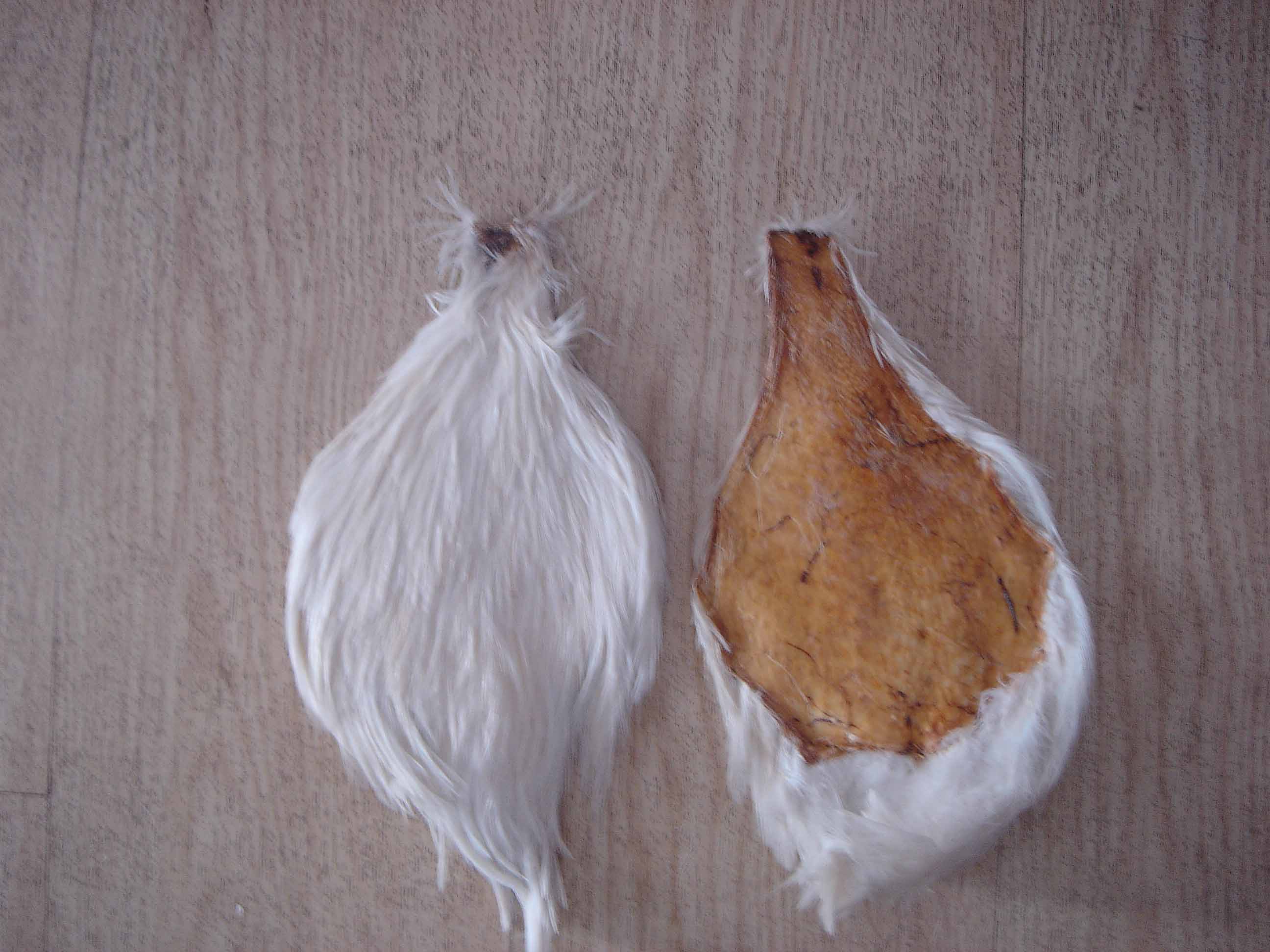 White Rooster Skin
